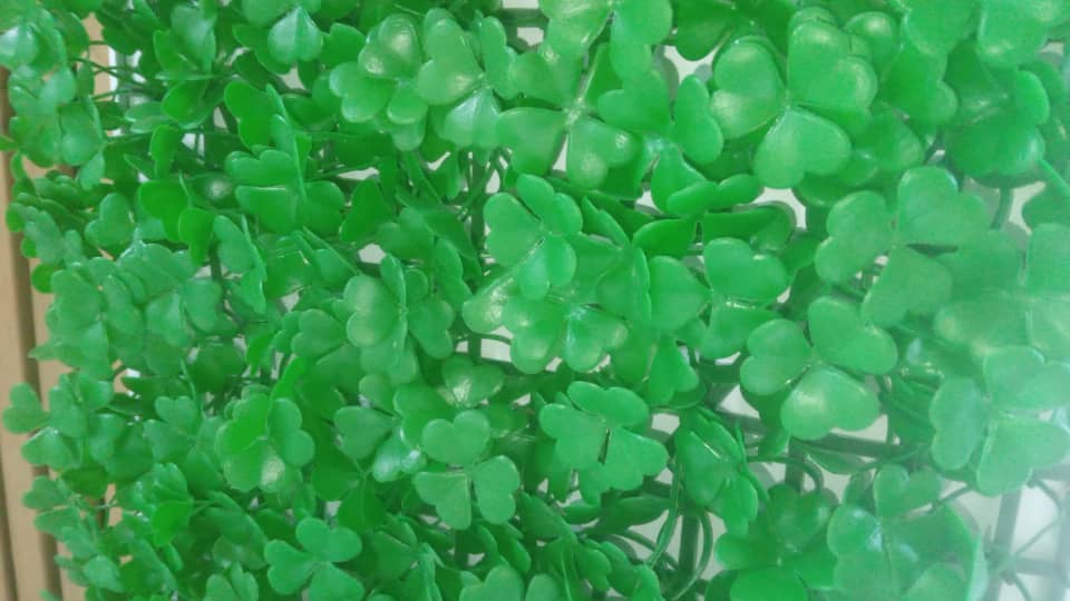 گرین وال شبدر