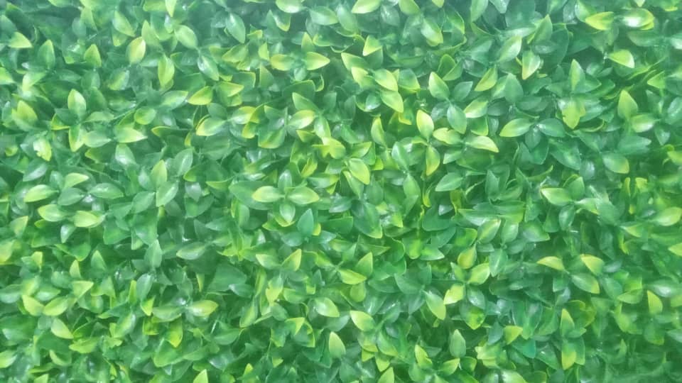 گرین وال پرتقالی